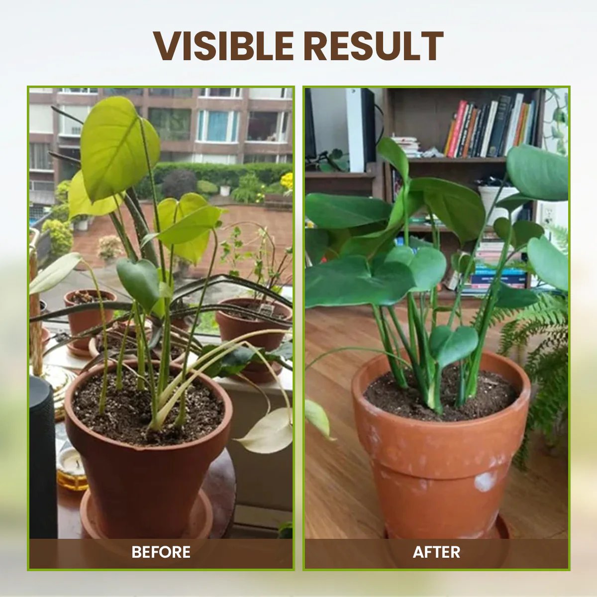 Ourlyard® Soil Activator – Plant & Garden Soil Booster for Healthier Roots & Stronger Plants