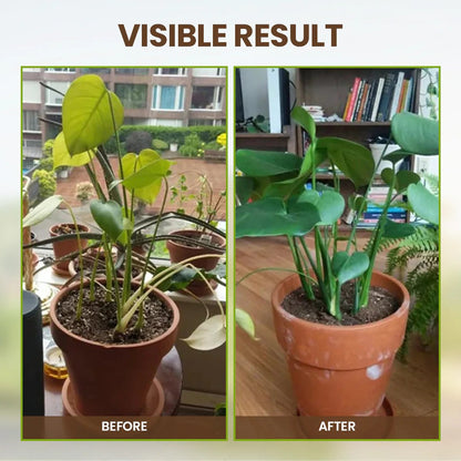 Ourlyard® Soil Activator – Plant & Garden Soil Booster for Healthier Roots & Stronger Plants