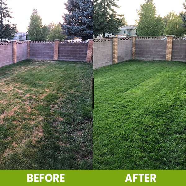 Ourlyard® Soil Activator – Plant & Garden Soil Booster for Healthier Roots & Stronger Plants