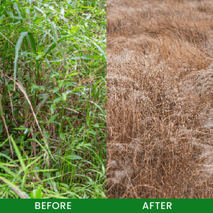 Cyclosinone Herbicide Granules